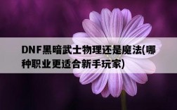 DNF黑暗武士物理還是魔法,哪種職業更適合新手玩家