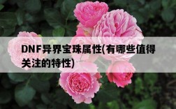 DNF異界寶珠屬性，有哪些值得關注的特性