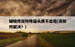 破曉傳說特殊貓頭鷹不出現，該如何解決？