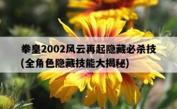 拳皇2002風云再起隱藏必殺技，全角色隱藏技能大揭秘
