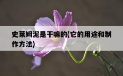 史萊姆泥是干嘛的,它的用途和制作方法