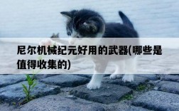 尼爾機械紀元好用的武器，哪些是值得收集的