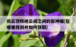 慶云頂和絕云間之間的巖神瞳,在哪里找到并如何獲取