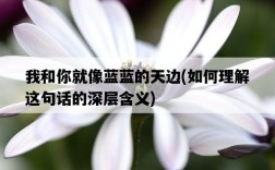 我和你就像藍藍的天邊，如何理解這句話的深層含義