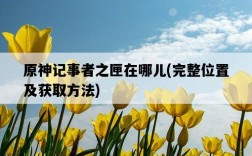 原神記事者之匣在哪兒，完整位置及獲取方法