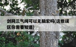 劍網三氣純可以無腦宏嗎，這些誤區你需要知道