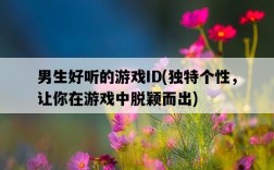 男生好聽的游戲ID，獨特個性，讓你在游戲中脫穎而出