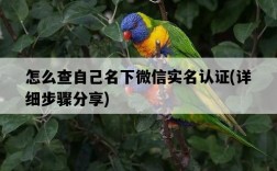 怎么查自己名下微信實名認證，詳細步驟分享