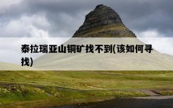 泰拉瑞亞山銅礦找不到，該如何尋找