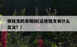 帶銘文的青銅劍，這些銘文有什么含義？
