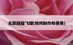 無敵回旋飛鏢，如何制作和使用