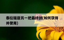 泰拉瑞亞另一把最終劍，如何獲得并使用