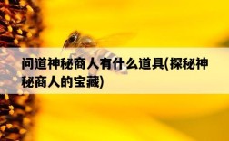 問道神秘商人有什么道具，探秘神秘商人的寶藏