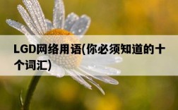 LGD網絡用語，你必須知道的十個詞匯
