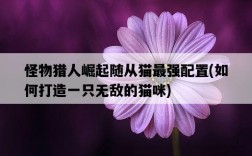 怪物獵人崛起隨從貓最強配置，如何打造一只無敵的貓咪