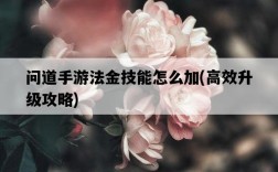 問道手游法金技能怎么加，高效升級攻略