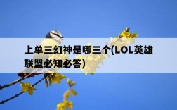 上單三幻神是哪三個，LOL英雄聯盟必知必答