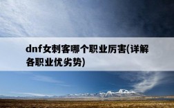 dnf女刺客哪個職業厲害，詳解各職業優劣勢