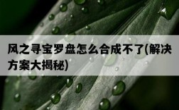 風之尋寶羅盤怎么合成不了，解決方案大揭秘