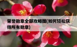 榮譽勛章全部攻略圖，如何輕松獲得所有勛章