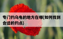 專門釣烏龜的地方在哪，如何找到合適的釣點