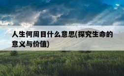 人生何周目什么意思，探究生命的意義與價值
