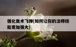 強化奧術飛彈，如何讓你的法師技能更加強大