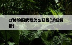 cf體驗服武器怎么獲得，詳細解析
