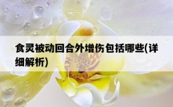 食靈被動回合外增傷包括哪些，詳細解析