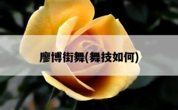 廖博街舞，舞技如何