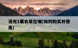 消光1薰衣草在哪，如何購買并使用