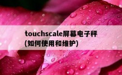 touchscale屏幕電子秤，如何使用和維護