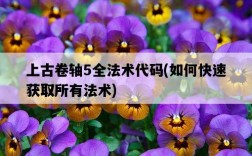 上古卷軸5全法術代碼，如何快速獲取所有法術