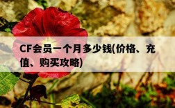 CF會員一個月多少錢，價格、充值、購買攻略