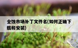 全蝕市場補丁文件名，如何正確下載和安裝