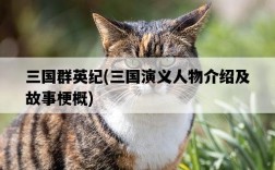 三國群英紀，三國演義人物介紹及故事梗概