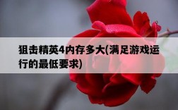 狙擊精英4內存多大，滿足游戲運行的最低要求