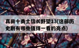 真田十勇士信長野望13，這部歷史劇有哪些值得一看的亮點