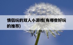 情侶玩的雙人小游戲，有哪些好玩的推薦