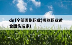 dnf全部固傷職業，哪些職業適合固傷玩家