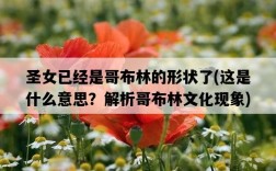 圣女已經是哥布林的形狀了，這是什么意思？解析哥布林文化現象