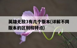 英雄無敵3有幾個版本，詳解不同版本的區別和特點