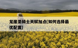 龍崖圣騎士天賦加點，如何選擇最優配置
