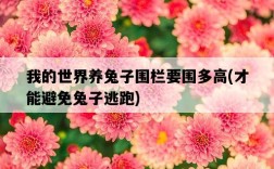我的世界養兔子圍欄要圍多高，才能避免兔子逃跑