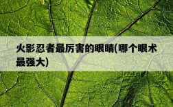 火影忍者最厲害的眼睛，哪個眼術最強大