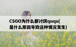 CSGO為什么都討厭ququ，是什么原因導致這種情況發生