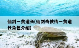 仙劍一貧道長，仙劍奇俠傳一貧道長角色介紹