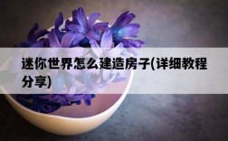 迷你世界怎么建造房子，詳細教程分享