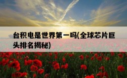 臺積電是世界第一嗎，全球芯片巨頭排名揭秘