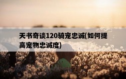 天書奇談120騎寵忠誠,如何提高寵物忠誠度